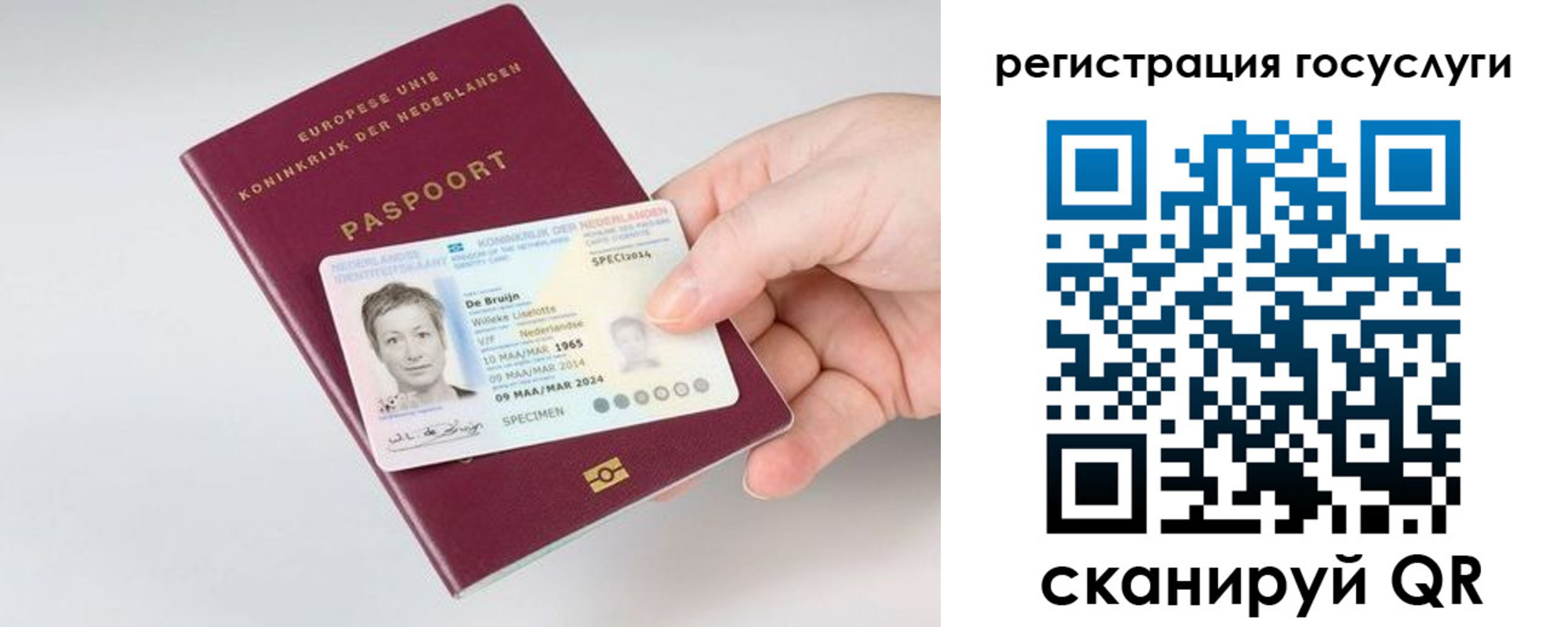 регистрация для дет. сада в Камешково